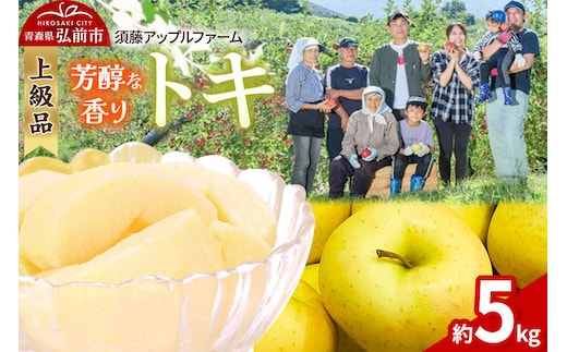 【26年10月発送】りんご トキ【上級品】約5kg 贈答用 青森県 弘前市 果物 フルーツ 林檎 リンゴ くだもの ギフト 贈り物 [産地直送 アップル おいしい 果実 美味 甘い 黄色]