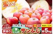 【26年12月発送】りんご 葉とらずサンふじ 【訳あり】 約5kg 蜜入り 平均糖度13度以上 青森県産 [りんご 林檎 アップル 産地直送 葉とらず サンふじ 訳あり 自宅用 家庭用 果物 フルーツ くだもの おいしい 美味 甘い 青森県 弘前市 日本農業]