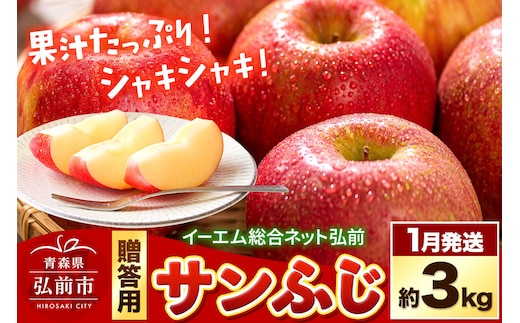 【27年1月発送】りんご サンふじ【贈答用】約3kg 糖度13度以上 EMりんご 林檎 リンゴ 果物 くだもの フルーツ 青森県 弘前市 贈り物 ギフト [先行予約 産地直送 アップル 青森県 弘前市]