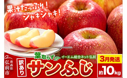 【27年3月クール便発送】りんご 葉取らず サンふじ【訳あり】約10kg 糖度13度以上 EMりんご 林檎 リンゴ 果物 くだもの フルーツ 青森県 弘前市 不揃い 規格外 [先行予約 家庭用 産地直送 アップル 青森県 弘前市]