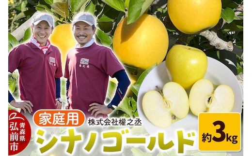 【26年10月下旬～発送】りんご シナノゴールド【家庭用】約3kg 權之丞 青森りんご 青森県 弘前市 果物 フルーツ 林檎 リンゴ くだもの 不揃い 規格外 [産地直送 弘前市産 アップル おいしい 果実 美味 甘い 黄色]