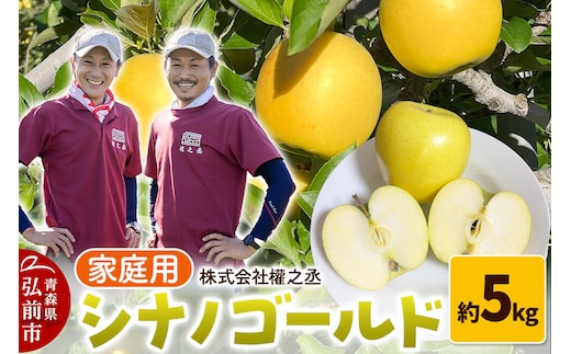 【26年10月下旬～発送】りんご シナノゴールド【家庭用】約5kg 權之丞 青森りんご 青森県 弘前市 果物 フルーツ 林檎 リンゴ くだもの 不揃い 規格外 [産地直送 弘前市産 アップル おいしい 果実 美味 甘い 黄色]