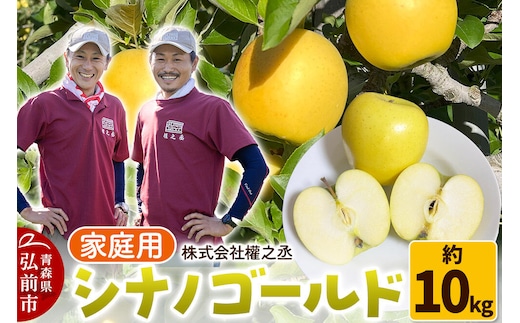 【26年10月下旬～発送】りんご シナノゴールド【家庭用】約10kg 權之丞 青森りんご 青森県 弘前市 果物 フルーツ 林檎 リンゴ くだもの 不揃い 規格外 [産地直送 弘前市産 アップル おいしい 果実 美味 甘い 黄色]