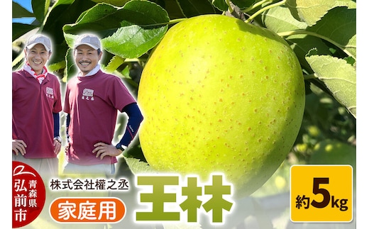 【26年11月発送】りんご 王林【家庭用】約5kg 權之丞 青森りんご 先行受付 青森県 弘前市 果物 フルーツ 林檎 リンゴ くだもの 不揃い 規格外 [先行予約 産地直送 弘前市産 アップル おいしい 果実 美味 甘い 黄色]