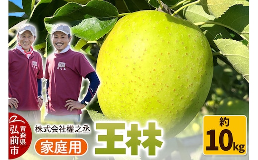 【26年11月発送】りんご 王林【家庭用】約10kg 權之丞 青森りんご 先行受付 青森県 弘前市 果物 フルーツ 林檎 リンゴ くだもの 不揃い 規格外 [先行予約 産地直送 弘前市産 アップル おいしい 果実 美味 甘い 黄色]