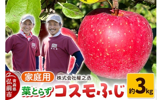 【26年11月下旬～発送】りんご コスモふじ【家庭用】約3kg 權之丞 葉とらずりんご 青森りんご 先行受付 青森県 弘前市 果物 フルーツ 林檎 リンゴ くだもの 不揃い 規格外 [先行予約 産地直送 弘前市産 アップル おいしい 果実 美味 甘い 赤色]