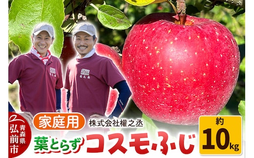 【26年11月下旬～発送】りんご コスモふじ【家庭用】約10kg 權之丞 葉とらずりんご 青森りんご 先行受付 青森県 弘前市 果物 フルーツ 林檎 リンゴ くだもの 不揃い 規格外 [先行予約 産地直送 弘前市産 アップル おいしい 果実 美味 甘い 赤色]