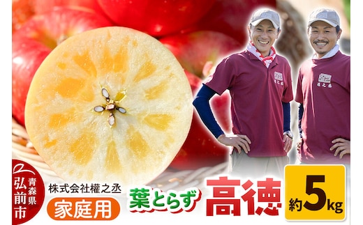 【26年11月下旬～発送】りんご 高徳（こうとく）【家庭用】約5kg 權之丞 葉とらずりんご 青森りんご 先行受付 青森県 弘前市 果物 フルーツ 林檎 リンゴ くだもの 不揃い 規格外 [先行予約 産地直送 弘前市産 アップル おいしい 果実 美味 甘い 赤色]