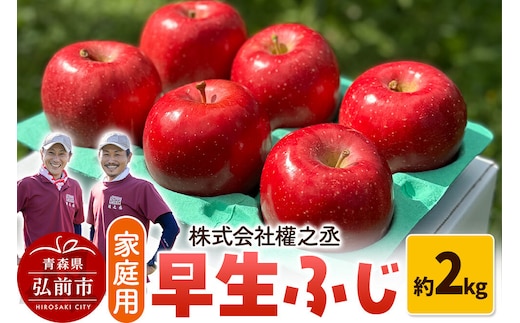 りんご 早生ふじ【家庭用】約2kg 權之丞farm 青森県 弘前市 果物 フルーツ 林檎 リンゴ くだもの 不揃い 規格外 [産地直送 弘前市産 アップル おいしい 果実 美味 甘い 赤色]