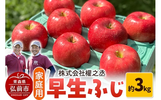 りんご 早生ふじ【家庭用】約3kg 權之丞farm 青森県 弘前市 果物 フルーツ 林檎 リンゴ くだもの 不揃い 規格外 [産地直送 弘前市産 アップル おいしい 果実 美味 甘い 赤色]