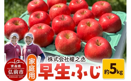 りんご 早生ふじ【家庭用】約5kg 權之丞farm 青森県 弘前市 果物 フルーツ 林檎 リンゴ くだもの 不揃い 規格外 [産地直送 弘前市産 アップル おいしい 果実 美味 甘い 赤色]