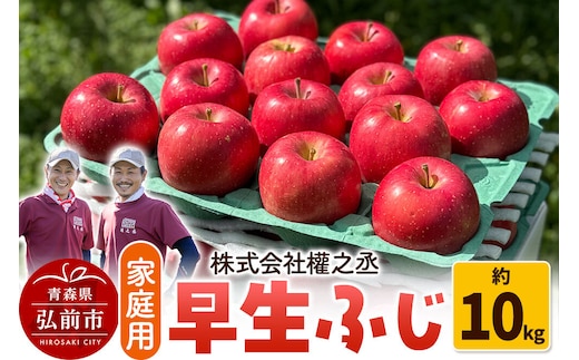 りんご 早生ふじ【家庭用】約10kg 權之丞farm 青森県 弘前市 果物 フルーツ 林檎 リンゴ くだもの 不揃い 規格外 [産地直送 弘前市産 アップル おいしい 果実 美味 甘い 赤色]