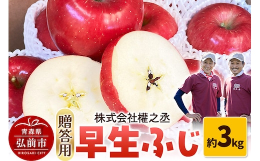 りんご 早生ふじ【贈答用】約3kg 權之丞farm 青森県 弘前市 果物 フルーツ 林檎 リンゴ くだもの ギフト 贈り物 [産地直送 弘前市産 アップル おいしい 果実 美味 甘い 赤色]