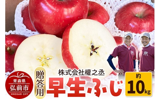 りんご 早生ふじ【贈答用】約10kg 權之丞farm 青森県 弘前市 果物 フルーツ 林檎 リンゴ くだもの ギフト 贈り物 [産地直送 弘前市産 アップル おいしい 果実 美味 甘い 赤色]