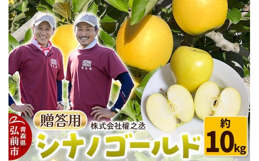【26年10月下旬～発送】りんご シナノゴールド【贈答用】約10kg 權之丞 青森りんご 青森県 弘前市 果物 フルーツ 林檎 リンゴ くだもの ギフト 贈り物 [産地直送 弘前市産 アップル おいしい 果実 美味 甘い 黄色]