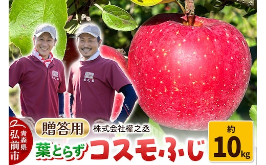 【26年11月下旬～発送】りんご コスモふじ【贈答用】約10kg 權之丞 葉とらずりんご 青森りんご 先行受付 青森県 弘前市 果物 フルーツ 林檎 リンゴ くだもの ギフト 贈り物 [先行予約 産地直送 弘前市産 アップル おいしい 果実 美味 甘い 赤色]