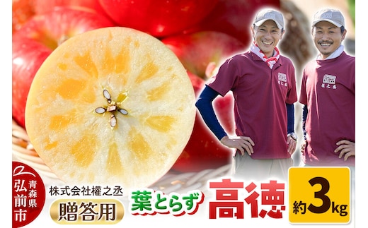 【26年11月～発送】りんご 高徳（こうとく）【贈答用】約3kg 權之丞 葉とらずりんご 青森りんご 先行受付 青森県 弘前市 果物 フルーツ 林檎 リンゴ くだもの ギフト 贈り物 [先行予約 産地直送 弘前市産 アップル おいしい 果実 美味 甘い 赤色]