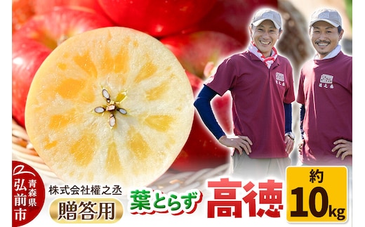 【26年11月～発送】りんご 高徳（こうとく）【贈答用】約10kg 權之丞 葉とらずりんご 青森りんご 先行受付 青森県 弘前市 果物 フルーツ 林檎 リンゴ くだもの ギフト 贈り物 [先行予約 産地直送 弘前市産 アップル おいしい 果実 美味 甘い 赤色]
