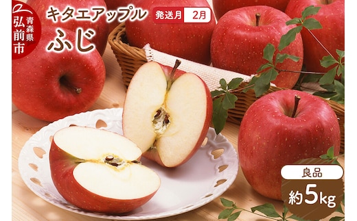 【27年2月発送】りんご ふじ【良品】約5kg キタエアップル 先行受付 青森県 弘前市 果物 フルーツ 林檎 リンゴ くだもの ギフト 贈り物 青森県 弘前市 [先行予約 産地直送 アップル おいしい 果実 美味 甘い 赤色]