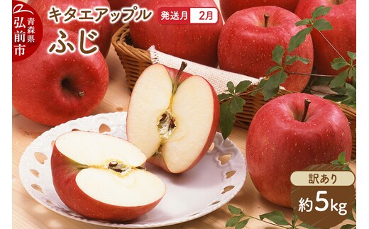 【27年2月発送】りんご ふじ【訳あり】約5kg キタエアップル 先行受付 家庭用 青森県 弘前市 果物 フルーツ 林檎 リンゴ くだもの 不揃い 規格外 青森県 弘前市 [先行予約 産地直送 アップル おいしい 果実 美味 甘い 赤色]