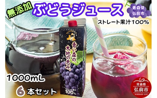 ぶどうジュース 紙パック 1L×6本入り 無添加 ストレート果汁100％ スチューベンジュース 青森県産 弘前市