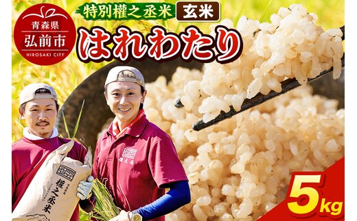 【寄附金額見直しました】はれわたり 5kg ［玄米］ 特別權之丞米 青森県産 令和7年産 [お米 東北 玄米 青森 青森県産 米 ブランド米]