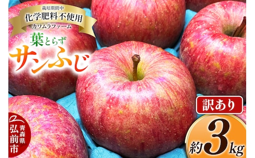 りんご 葉とらず サンふじ 約3kg カワムラファーム 訳あり 青森 果物 フルーツ 林檎 リンゴ くだもの 不揃い 規格外