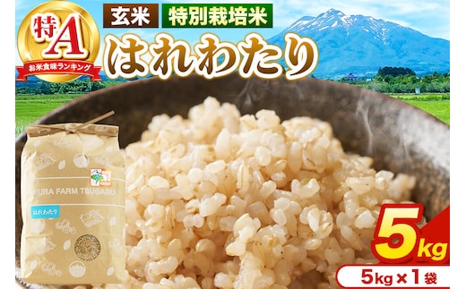米【特別栽培米】はれわたり 玄米 5kg（5kg×1袋）令和7年産 特A 青森県弘前市産 [5キロ はれわたり 特別栽培米 玄米 ブランド米 青森県 弘前市産]