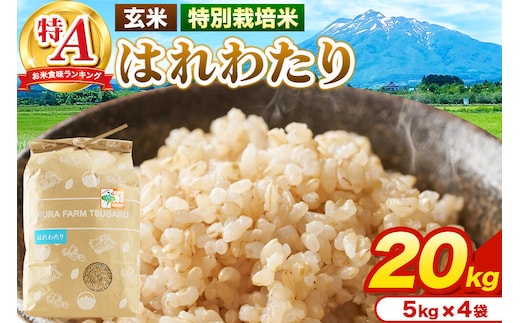 米【特別栽培米】はれわたり 玄米 20kg（5kg×4袋）令和7年産 特A 青森県弘前市産 [20キロ 5キロ 小分け はれわたり 特別栽培米 玄米 ブランド米 青森県 弘前市産]