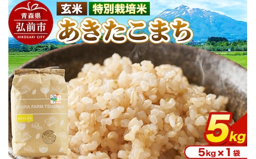 米【特別栽培米】あきたこまち 玄米 5kg（5kg×1袋）令和7年産 青森県弘前市産 [5キロ あきたこまち 特別栽培米 玄米 ブランド米 青森県 弘前市産]