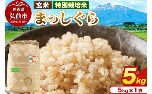 米【特別栽培米】まっしぐら 玄米 5kg（5kg×1袋）令和7年産 青森県弘前市産 [5キロ まっしぐら 特別栽培米 玄米 ブランド米 青森県 弘前市産]