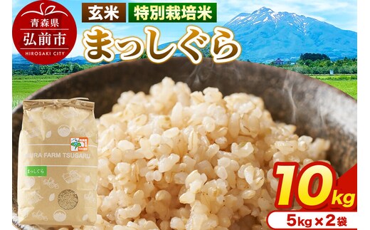 米【特別栽培米】まっしぐら 玄米 10kg（5kg×2袋）令和7年産 青森県弘前市産 [10キロ 5キロ 小分け まっしぐら 特別栽培米 玄米 ブランド米 青森県 弘前市産]