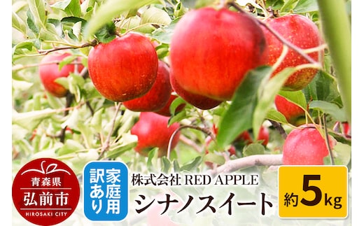 りんご【訳あり】家庭用 シナノスイート 約5kg