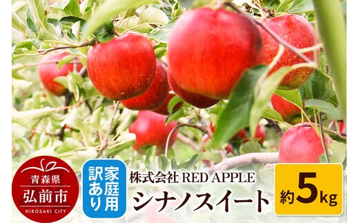 【26年10月下旬～発送】りんご【訳あり】家庭用 シナノスイート 約5kg [アップル おいしい シナノ シナノスイート りんご 黄色 果実 果物 美味 林檎]