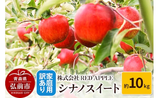 りんご【訳あり】家庭用 シナノスイート 約10kg