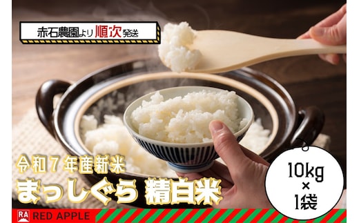 【新米】まっしぐら 白米 10kg 青森米 令和7年産 青森県 弘前市