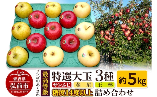 りんご 最高等級 特選大玉 3種詰め合わせ 約5kg（サンふじ・金星・王林）糖度14度以上