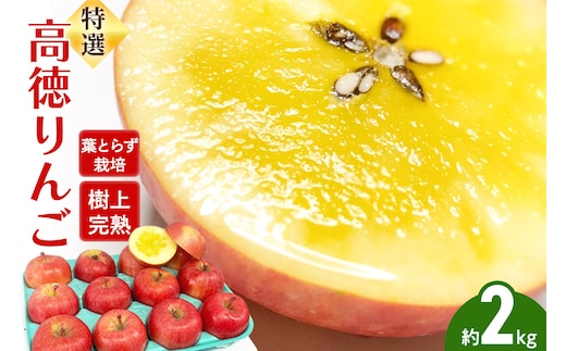 りんご 特選 高徳（ こうとく ）りんご 約2kg