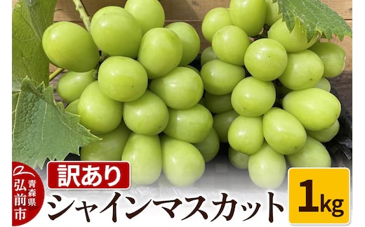 【26年9月～発送】【訳あり】 シャインマスカット1kg ぶどう フルーツ 果物 ブドウ 葡萄 グレープ くだもの 産地直送