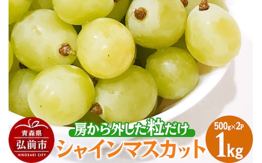 【26年9月～発送】【訳あり】 房から外した粒だけシャインマスカット1kg（500g×2パック） ぶどう フルーツ 果物 ブドウ 葡萄 グレープ くだもの 産地直送