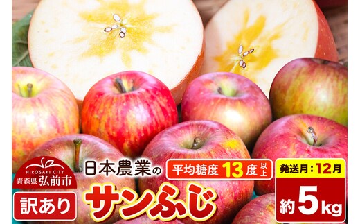 【26年12月発送】りんご サンふじ【訳あり】約5kg 平均糖度13度以上 青森県 弘前市 果物 フルーツ 林檎 リンゴ くだもの 不揃い 規格外 [先行予約 家庭用 産地直送 アップル 青森県 弘前市]