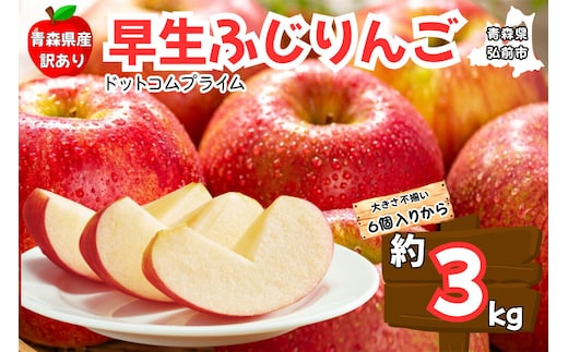 【26年10月中旬～11月下旬発送】りんご 早生ふじ 約3kg【訳あり ご家庭用】青森県産 青森 果物 フルーツ 林檎 リンゴ くだもの 弘前市 [産地直送 アップル おいしい ふじ りんご 果実 果物 早生 美味 林檎 弘前市]