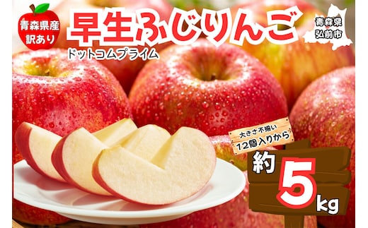 【26年10月中旬～11月下旬発送】りんご 早生ふじ 約5kg【訳あり ご家庭用】青森県産 青森 果物 フルーツ 林檎 リンゴ くだもの 弘前市 [産地直送 アップル おいしい ふじ りんご 果実 果物 早生 美味 林檎 弘前市]