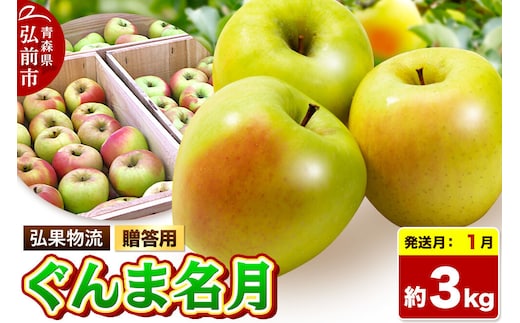 【27年1月発送】りんご ぐんま名月【贈答用】約3kg 先行受付 青森県 弘前市 果物 フルーツ 林檎 リンゴ くだもの ギフト 贈り物 [先行予約 産地直送 アップル おいしい 果実 美味 甘い 黄色]