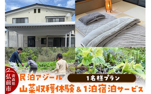 【寄附金額見直しました】宿泊 民泊アジール 山菜収穫体験＆1泊宿泊サービス 1名様プラン レターパックライト 青森県 [体験型 ふるさと納税 食育]