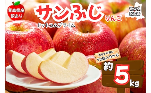 りんご【訳あり ご家庭用】サンふじ 5kg ふじりんご 青森県産 青森 果物 フルーツ 林檎 リンゴ くだもの 弘前市