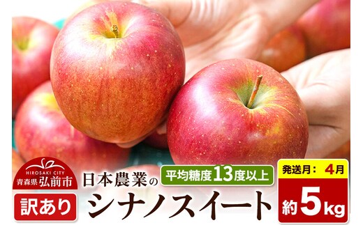【27年4月クール便発送】りんご シナノスイート【訳あり】約5kg【CA貯蔵】平均糖度13度以上 青森県 弘前市 果物 フルーツ 林檎 リンゴ くだもの 不揃い 規格外 [先行予約 クール便 家庭用 産地直送 アップル 青森県 弘前市]