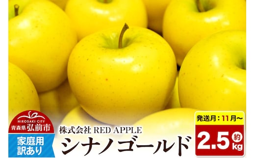 【26年11月～発送】りんご【訳あり】家庭用 シナノゴールド 約2.5kg 先行受付 [アップル おいしい シナノ シナノゴールド りんご 黄色 果実 果物 美味 林檎]