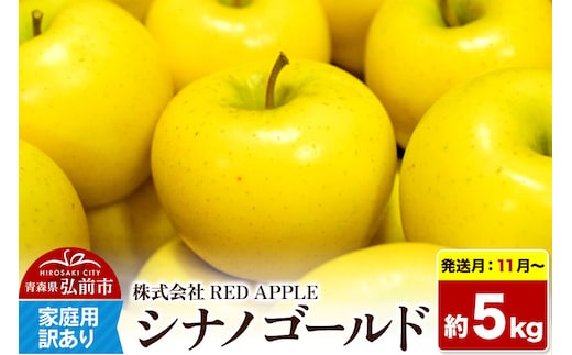 【26年11月～発送】りんご【訳あり】家庭用 シナノゴールド 約5kg 先行受付 [アップル おいしい シナノ シナノゴールド りんご 黄色 果実 果物 美味 林檎]