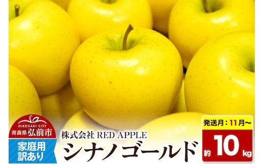 【26年11月～発送】りんご【訳あり】家庭用 シナノゴールド 約10kg 先行受付 [アップル おいしい シナノ シナノゴールド りんご 黄色 果実 果物 美味 林檎]